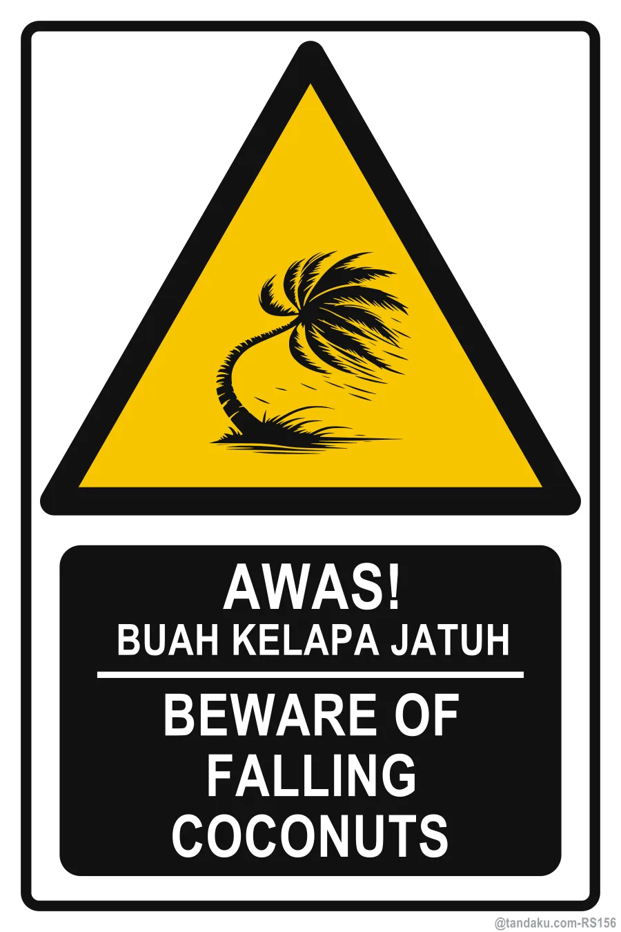 Beware Falling Coconuts