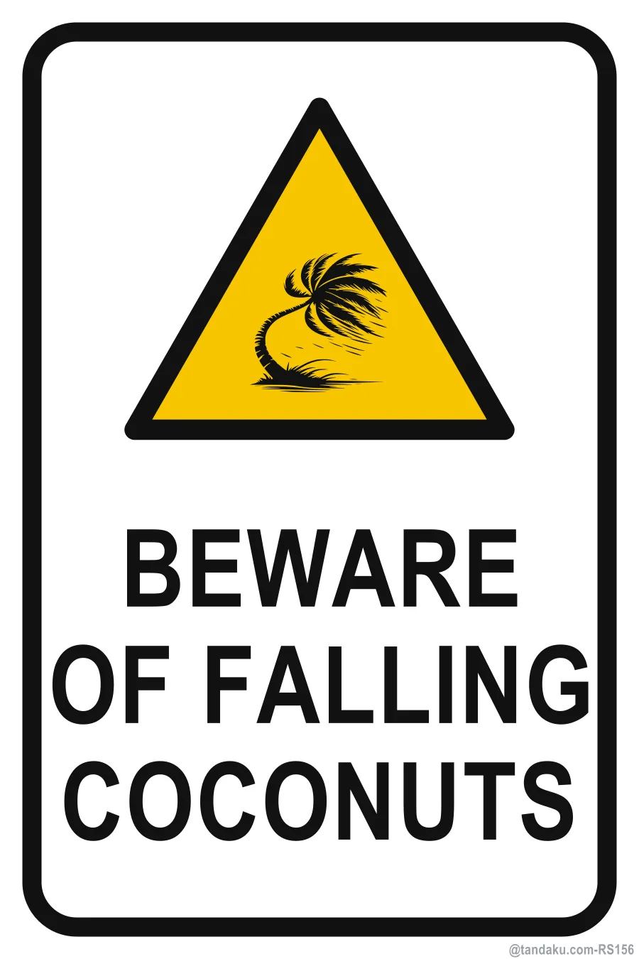 BEWARE OF FALLING COCONUTS — English