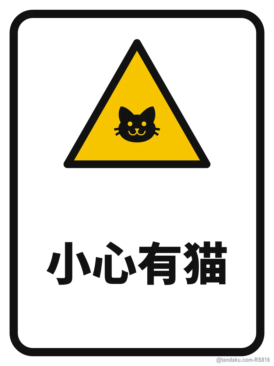 BEWARE OF THE CAT — 中文