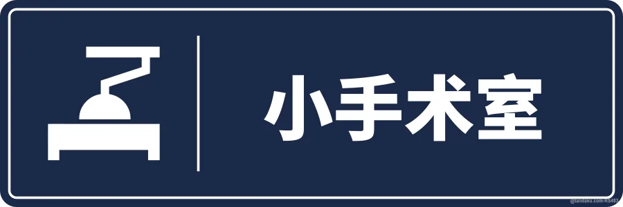 MINOR OPERATION THEATRE — 中文