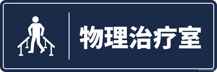 PHYSIOTHERAPY — 中文
