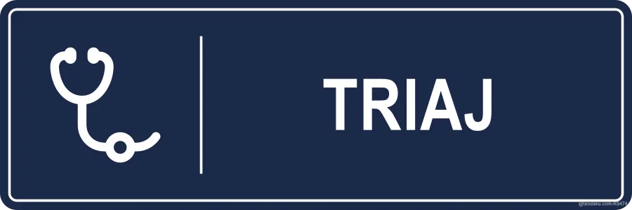 TRIAGE — Bahasa Malaysia