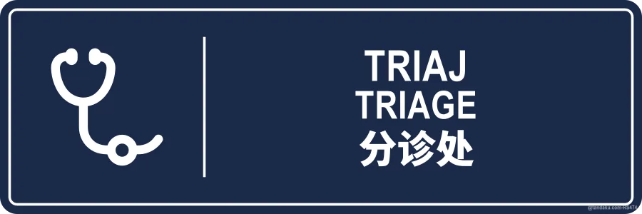 TRIAGE — BM + EN + 中文