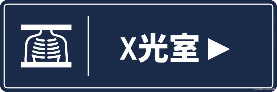 X-RAY ► — 中文