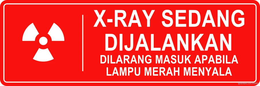 X-RAY IN PROGRESS — Bahasa Malaysia