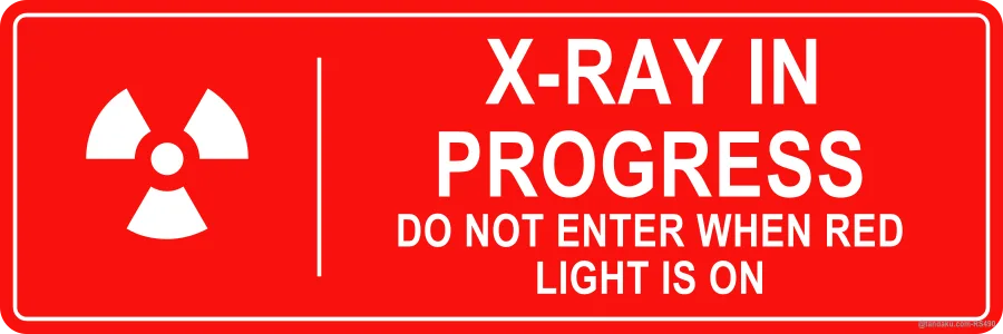 X-RAY IN PROGRESS — English