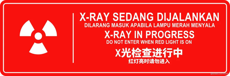 X-RAY IN PROGRESS — BM + EN + 中文