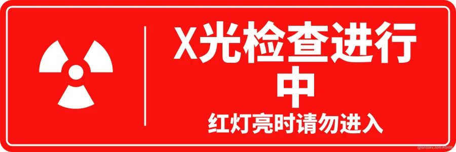 X-RAY IN PROGRESS — 中文