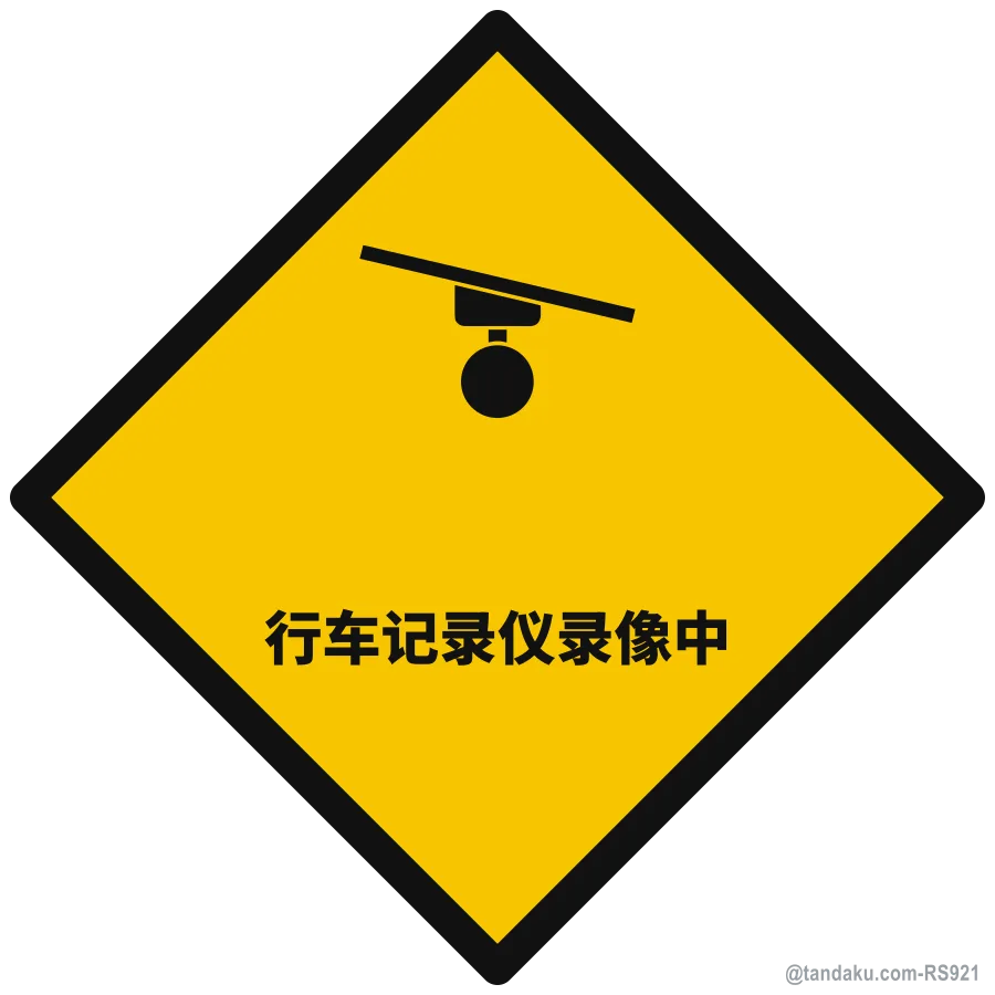 DASHCAM RECORDING — 中文