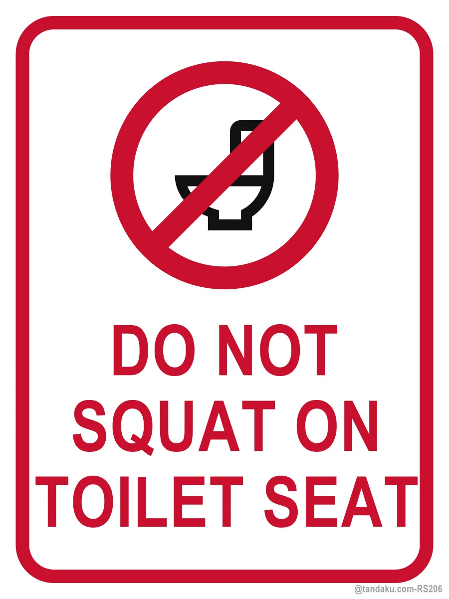 DO NOT SQUAT ON TOILET SEAT — English
