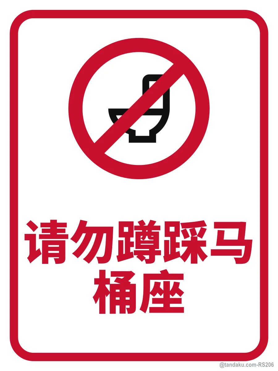 DO NOT SQUAT ON TOILET SEAT — 中文