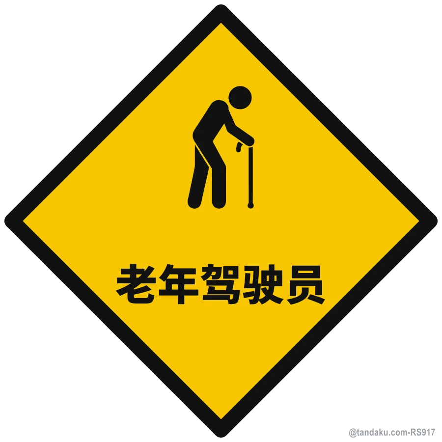 ELDERLY DRIVER — 中文
