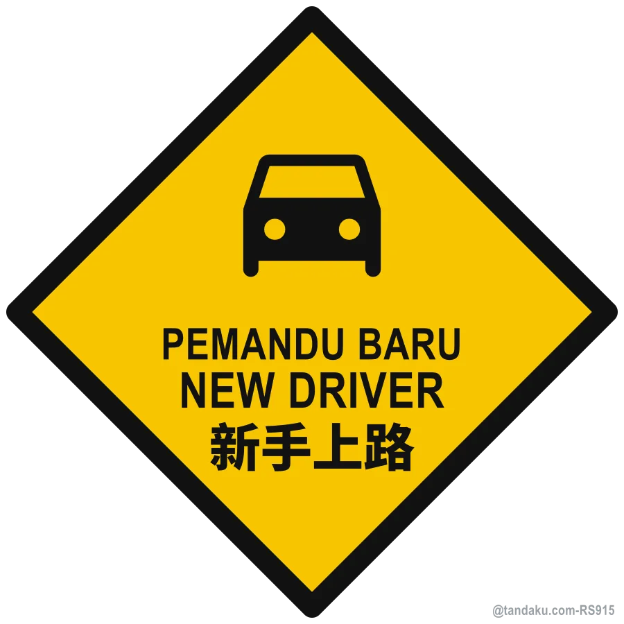 NEW DRIVER — BM + EN + 中文