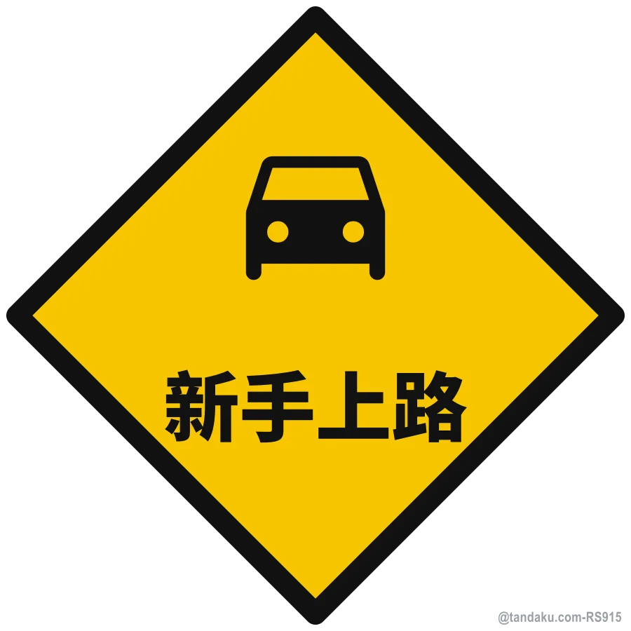 NEW DRIVER — 中文