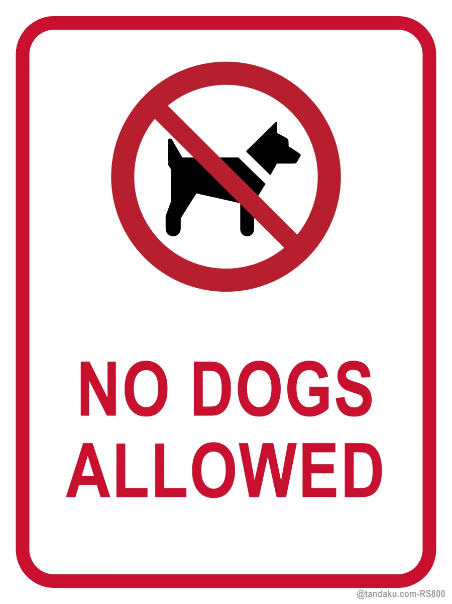 NO DOGS ALLOWED — English