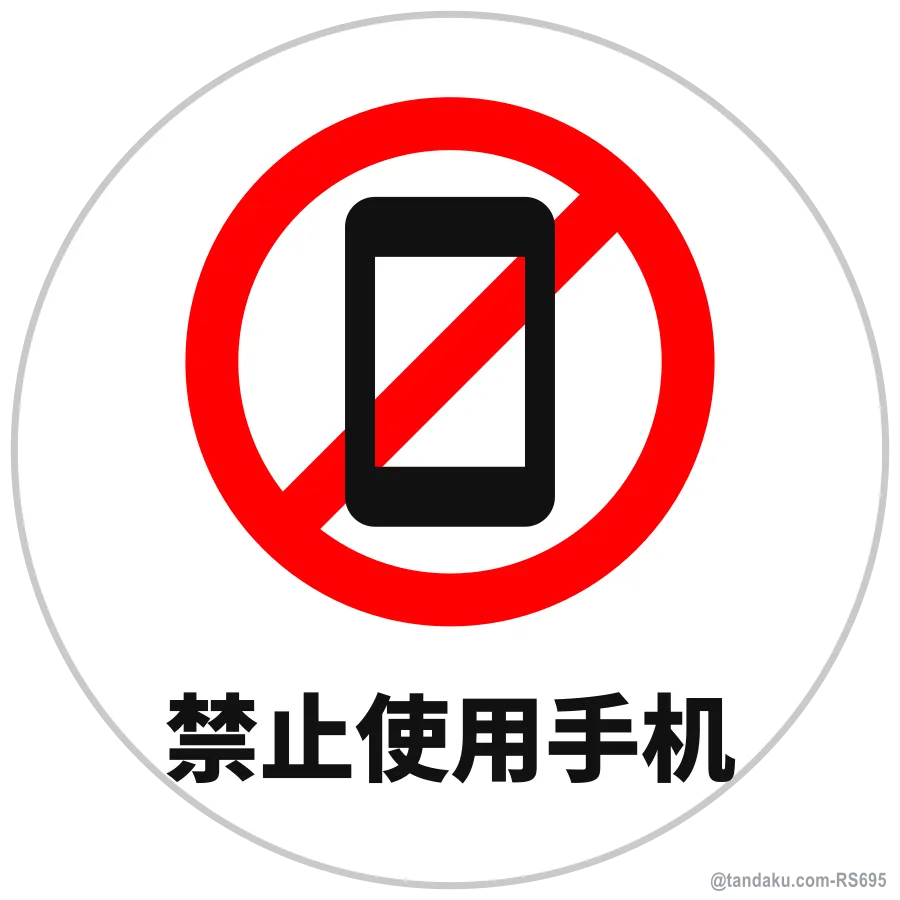 NO PHONES — 中文