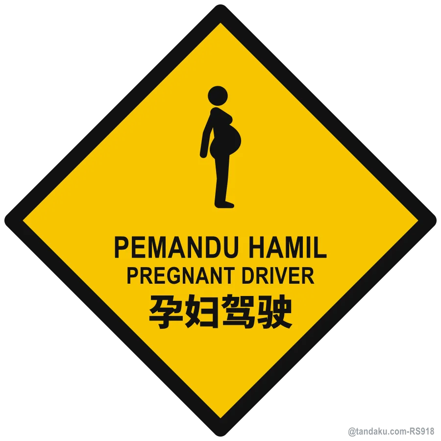 PREGNANT DRIVER — BM + EN + 中文