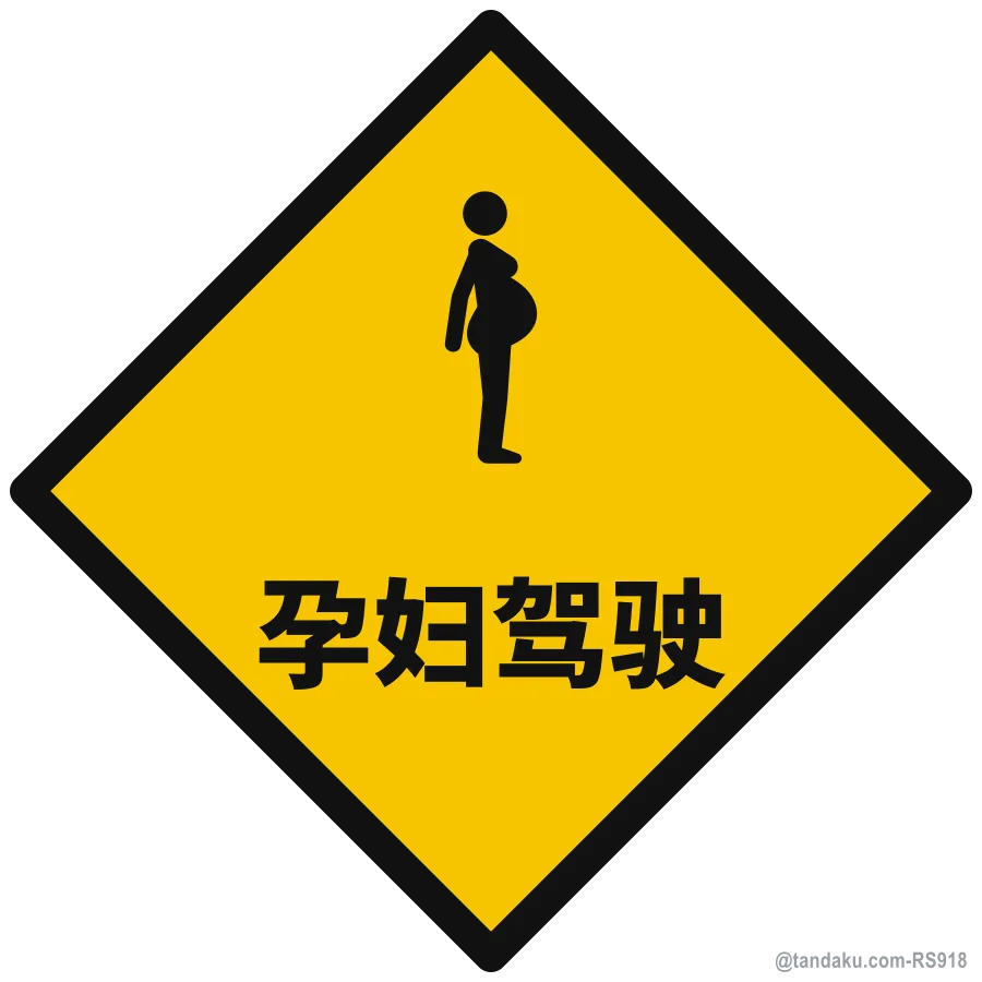 PREGNANT DRIVER — 中文
