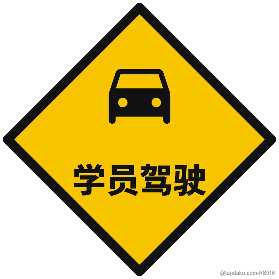 STUDENT DRIVER — 中文